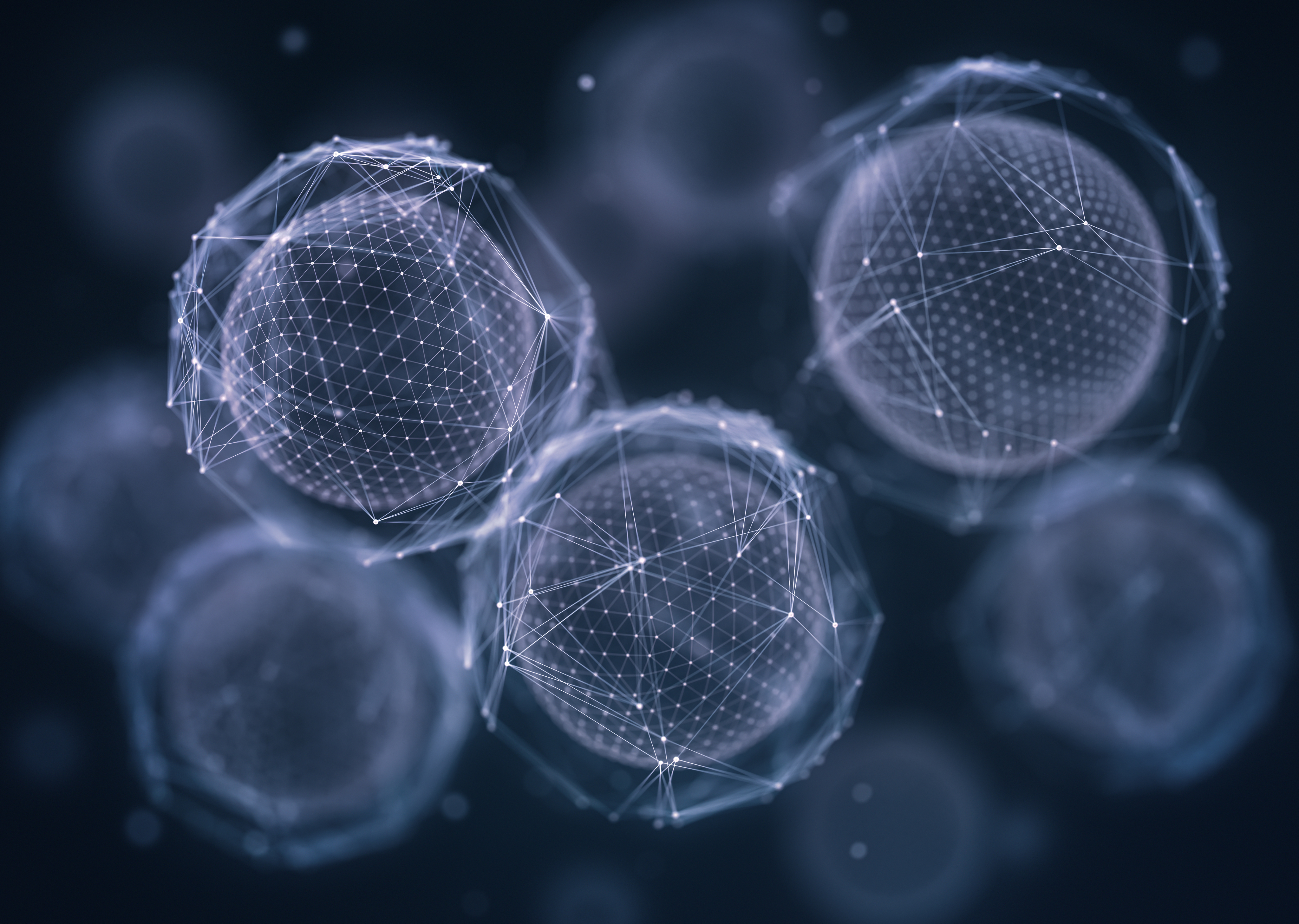 면역 체계 이상