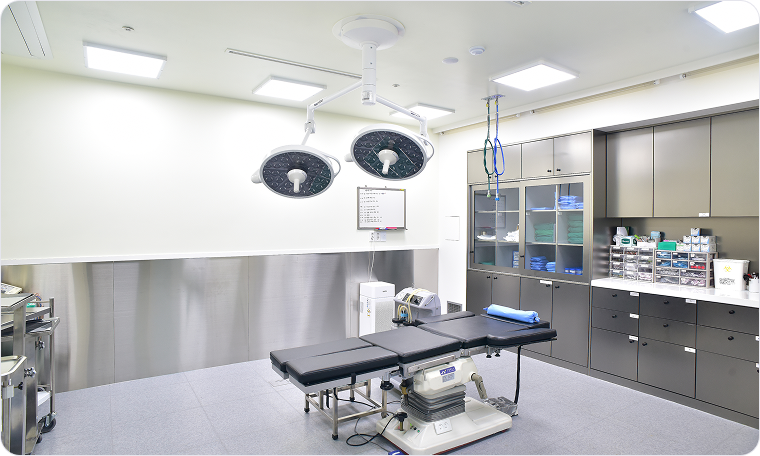 리가슈어 치핵절제술